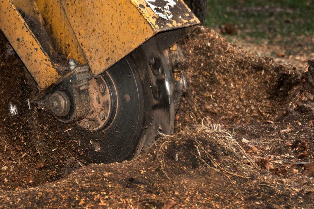 Stump-Grinding