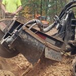 The Importance of Stump Grinding for a Clean and Safe Landscape