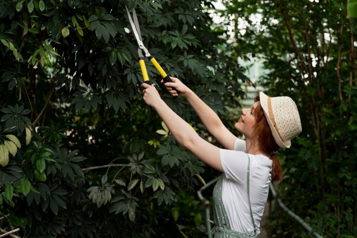 Importance of Tree Pruning