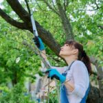 Finding Tree Pruning Near Me: Tips and Recommendations