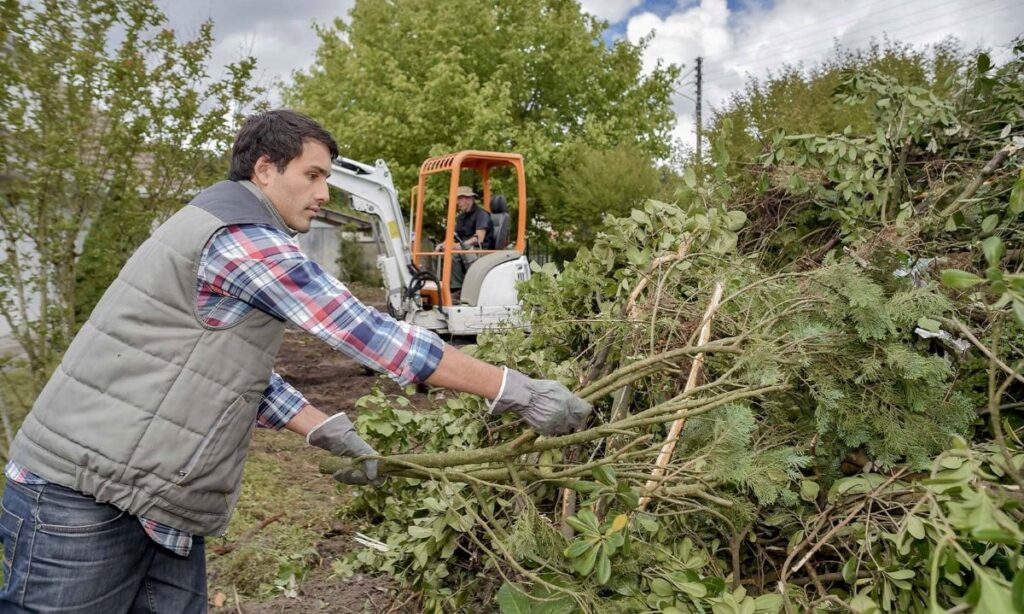 tree loppers near me
