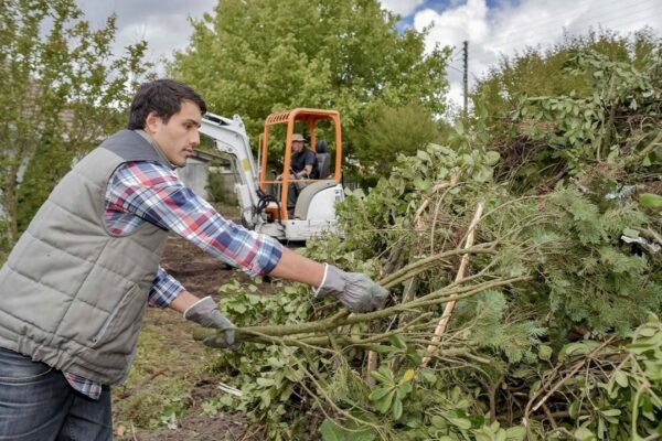 tree loppers near me