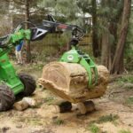 Is Stump Grinding in Sydney Safe for Nearby Buildings?