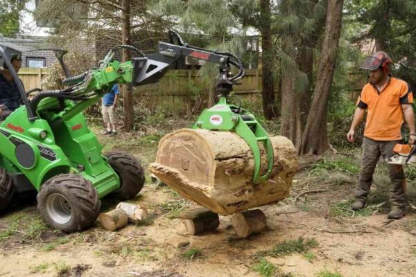 tree stump removal near me