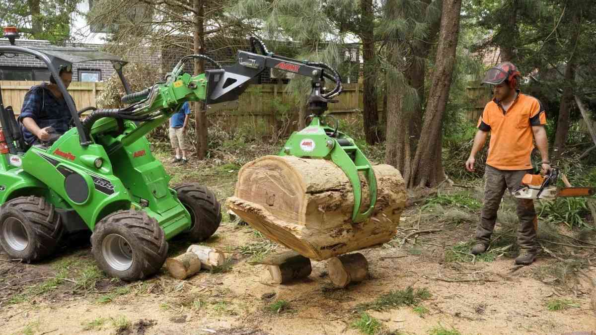 tree stump removal near me
